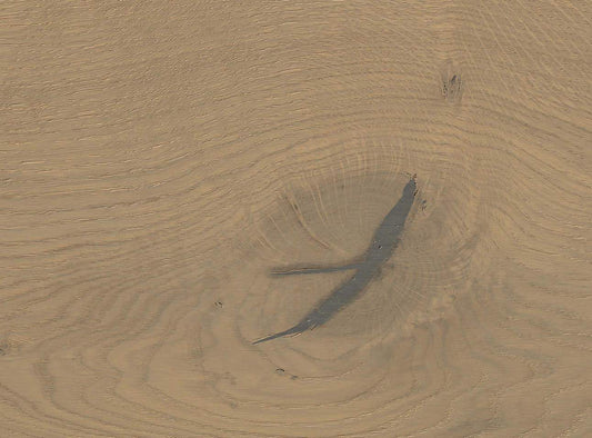 HARO PARKETT 4000 Landhausdiele Plaza 240 4V Eiche sandgrau Sauvage strukturiert naturaDur Top Connect