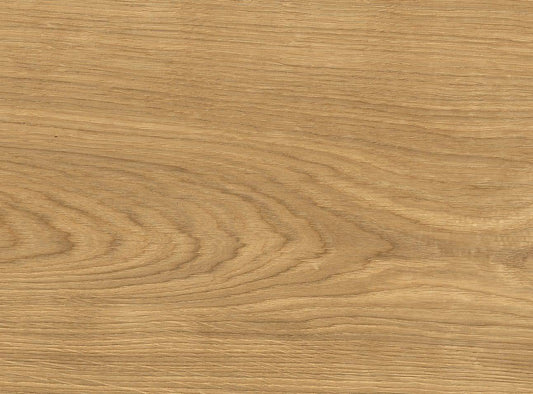 parkettmanufaktur by HARO 6000 Landhausdiele XL 4V Eiche strukturiert oleovera Nut & Feder