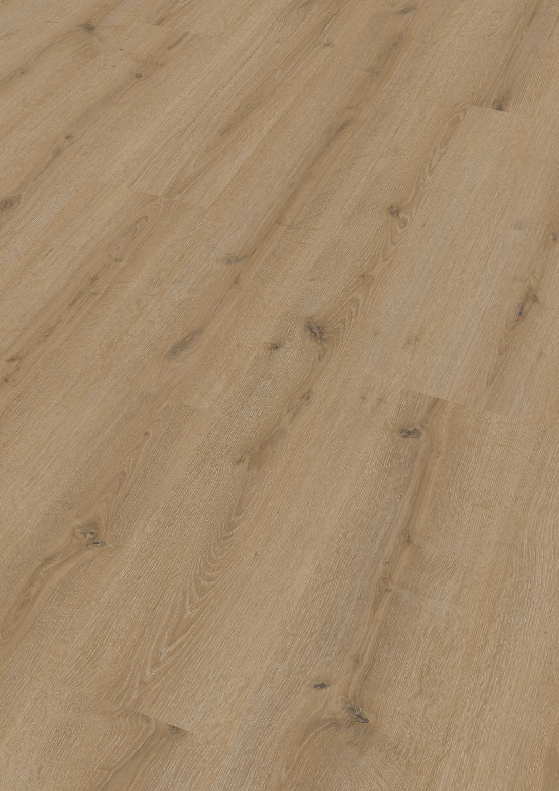 MEISTER | LC 150 | MeisterDesign. laminate | Laminate flooring | Turmeiche cream | 07120 | Pore-synchronized structure