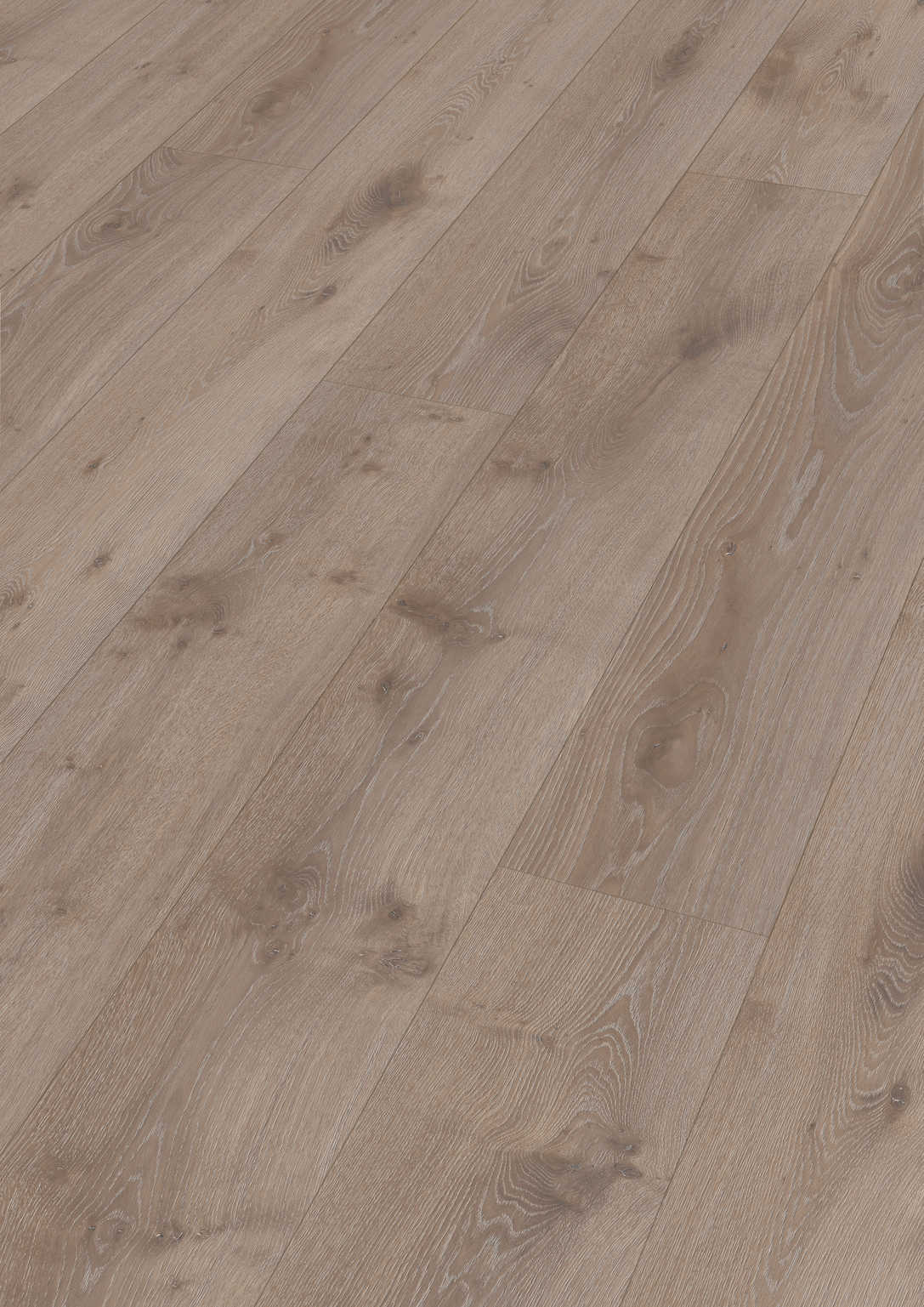MEISTER | LL 250 | MeisterDesign. laminate | Laminatboden | Bacheiche | 07143 | Porensynchron-Struktur