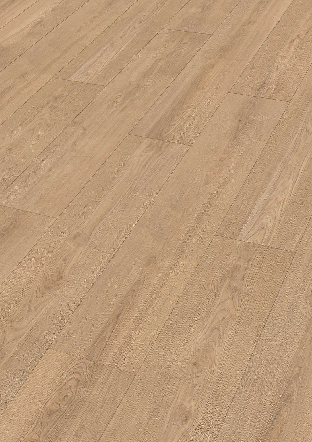 MEISTER | DD 250 | MeisterDesign. pro | Designboden | Sandy Beach Oak | 07451 | Softwood-Struktur