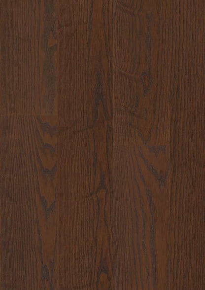 Admonter | Parkett | Esche medium Marrone | noblesse | antico | Nut & Feder