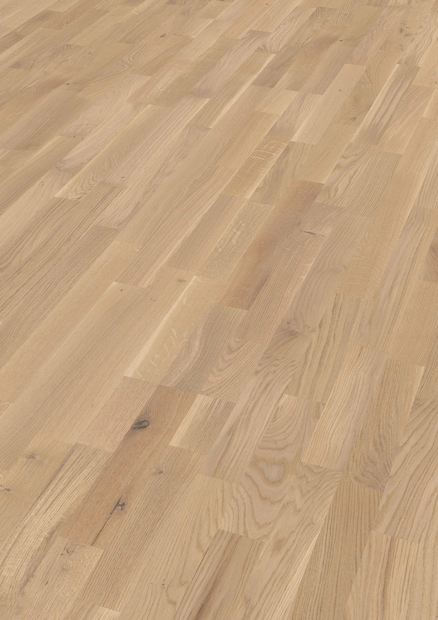 MEISTER | PC 200 | MeisterParkett. longlife | Parquet flooring | Oak lively cream | 09037 | brushed | ultra matt varnished