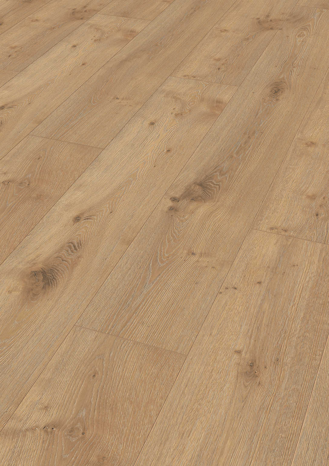 MEISTER | LL 250 | MeisterDesign. laminate | Laminatboden | Eiche Dakar | 06385 | Porensynchron-Struktur