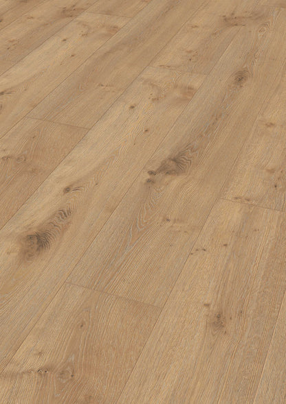 MEISTER | LL 250 | MeisterDesign. laminate | Laminatboden | Eiche Dakar | 06385 | Porensynchron-Struktur