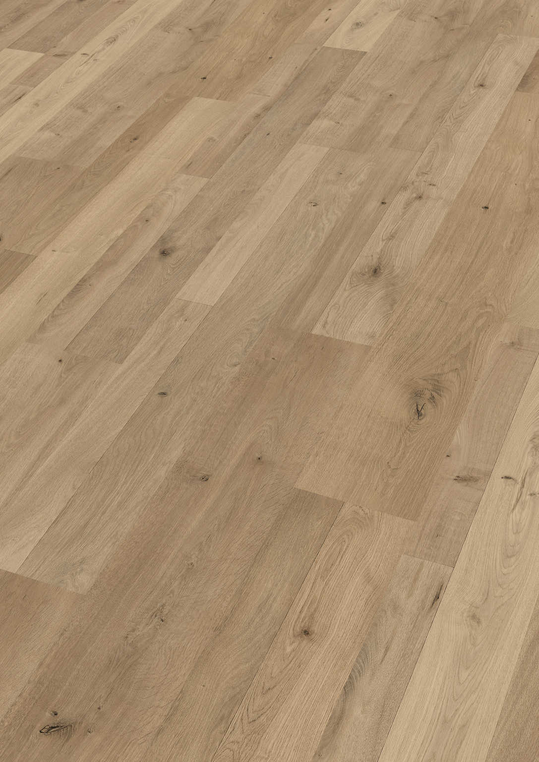 MEISTER | LC 55 S | MeisterDesign. laminate | Laminate flooring | Natural Oak | 06675 | Easy-to-clean structure