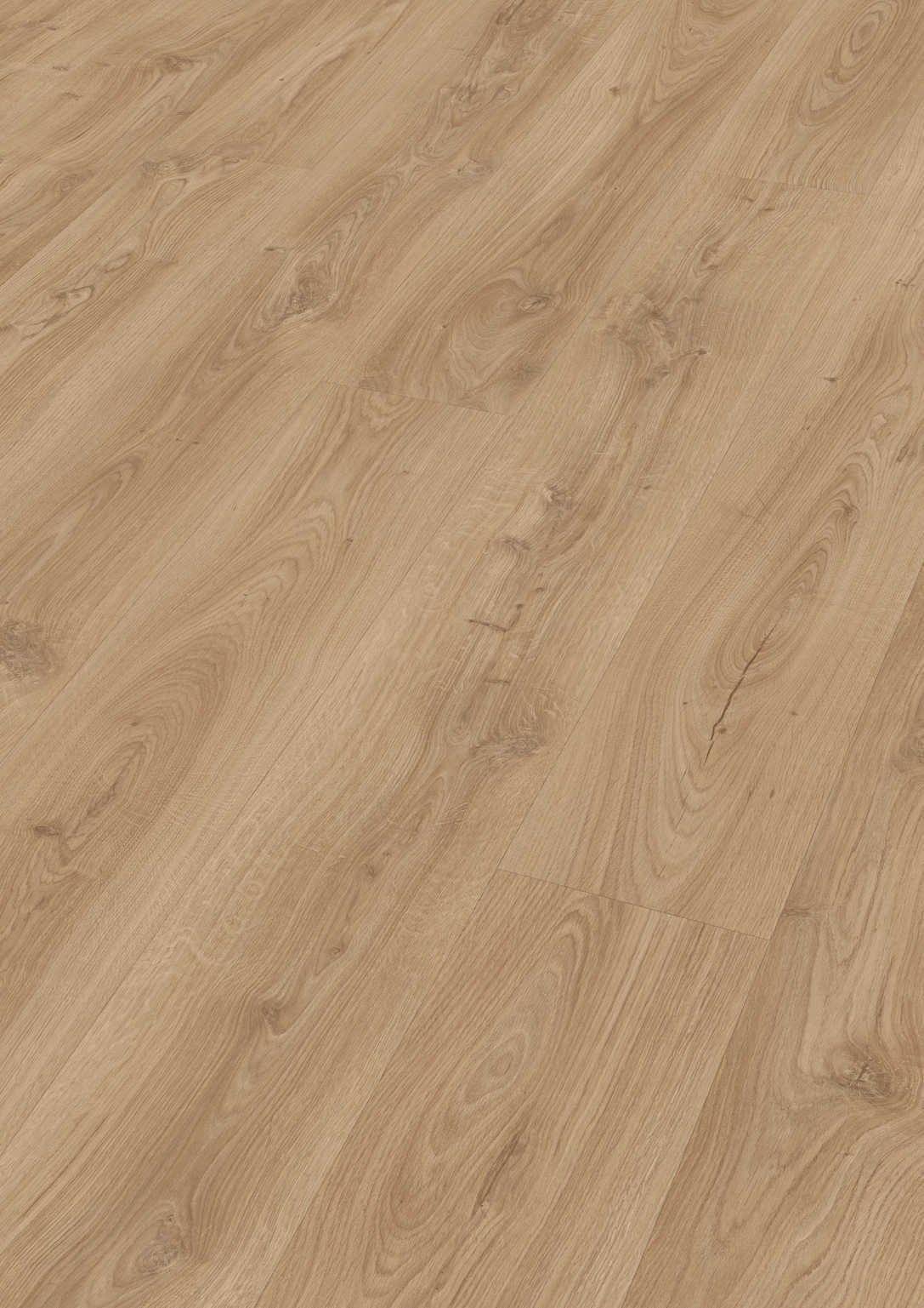MEISTER | DL 500 S | MeisterDesign. next | Designboden | Schlosseiche hell | 06841 | Porensynchron-Struktur