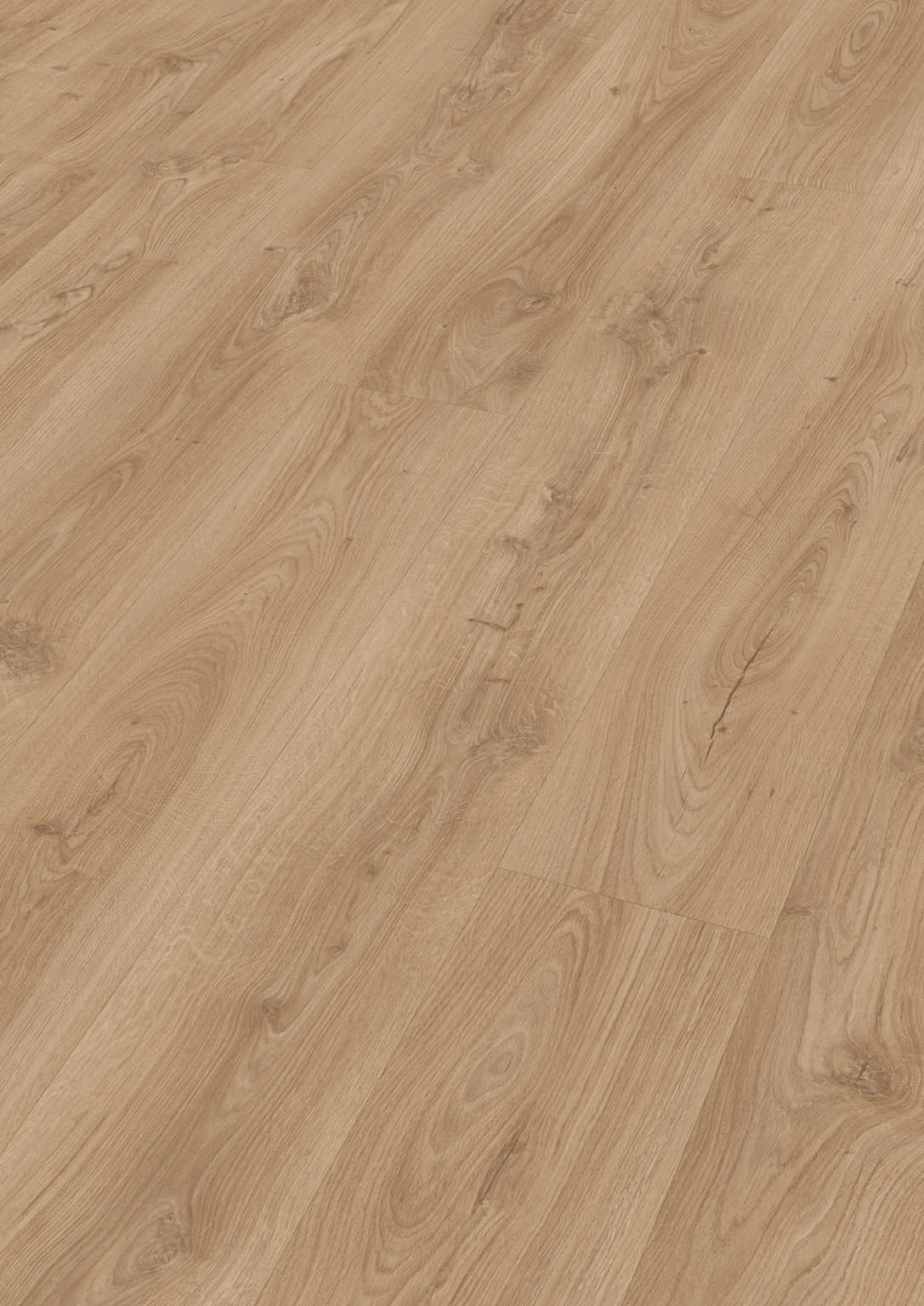 MEISTER | LL 250 | MeisterDesign. laminate | Laminatboden | Schlosseiche hell | 06841 | Porensynchron-Struktur