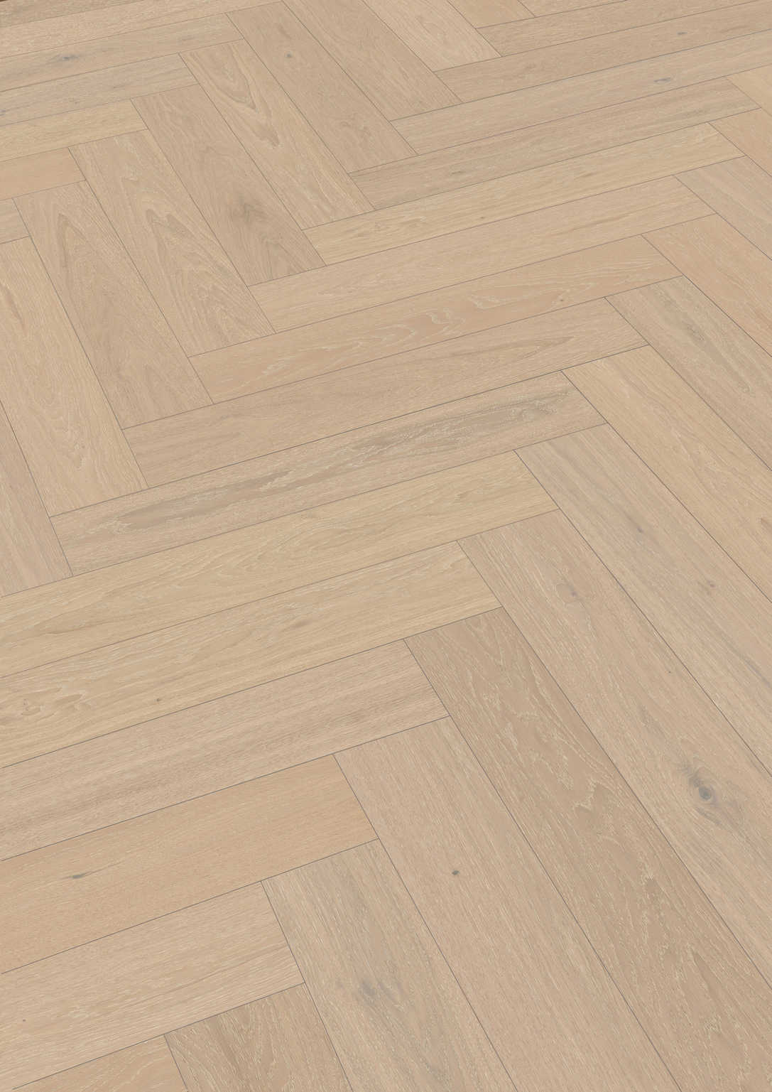 MEISTER | HS 500 | Lindura wooden floor | Oak classic champagne | 08930 | brushed | ultra matt varnished