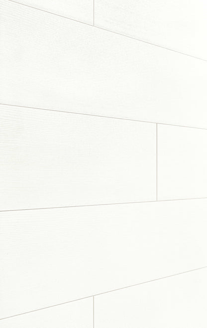 MEISTER | DP 200 | MeisterPaneele. terra | Dekorpaneele | Fineline weiß | 04017