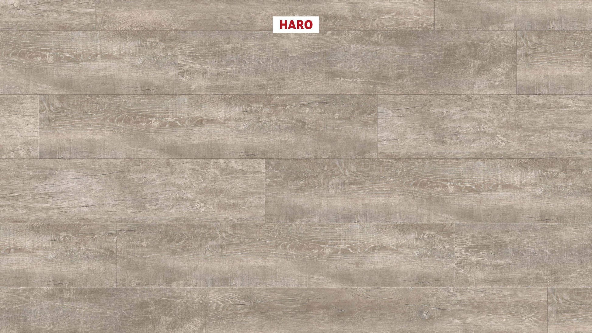 DISANO by HARO LifeAqua Landhausdiele 4V Antikeiche creme* rustikal strukturiert Top Connect