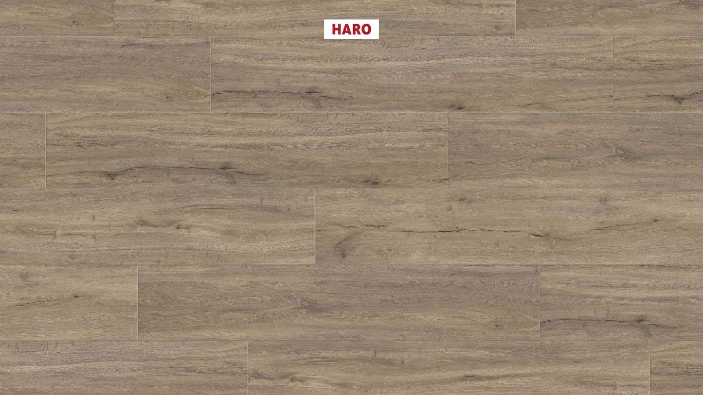 DISANO by HARO LifeAqua Landhausdiele 4V Eiche Columbia grau* strukturiert Top Connect