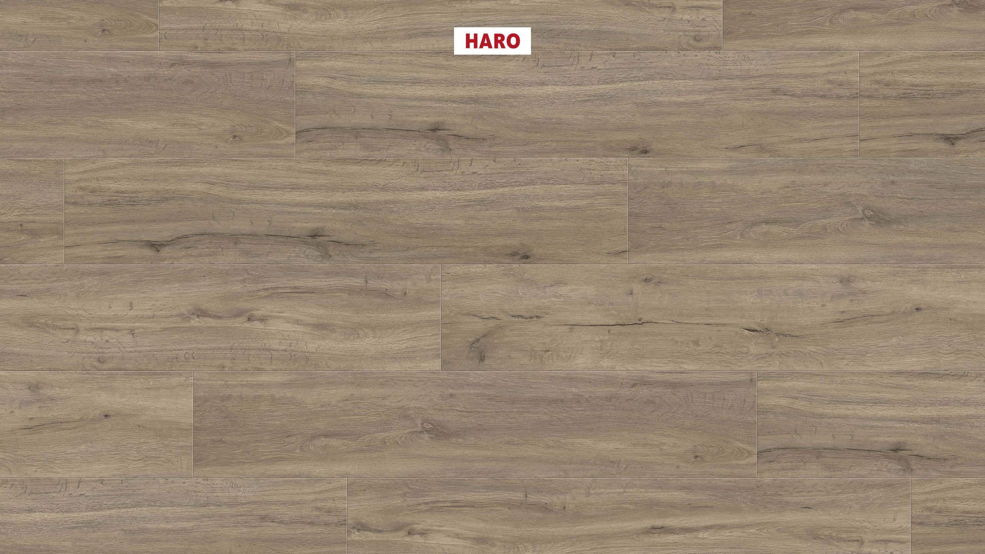 DISANO by HARO LifeAqua Landhausdiele 4V Eiche Columbia grau* strukturiert Top Connect