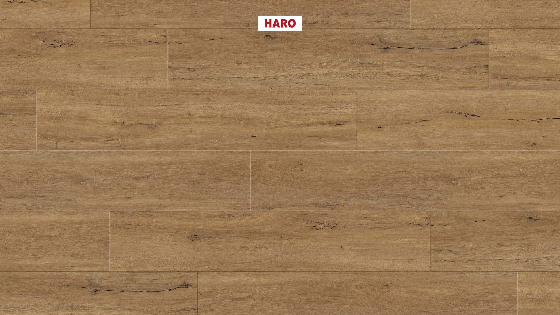 DISANO by HARO LifeAqua Landhausdiele 4V Eiche Columbia natur* strukturiert Top Connect