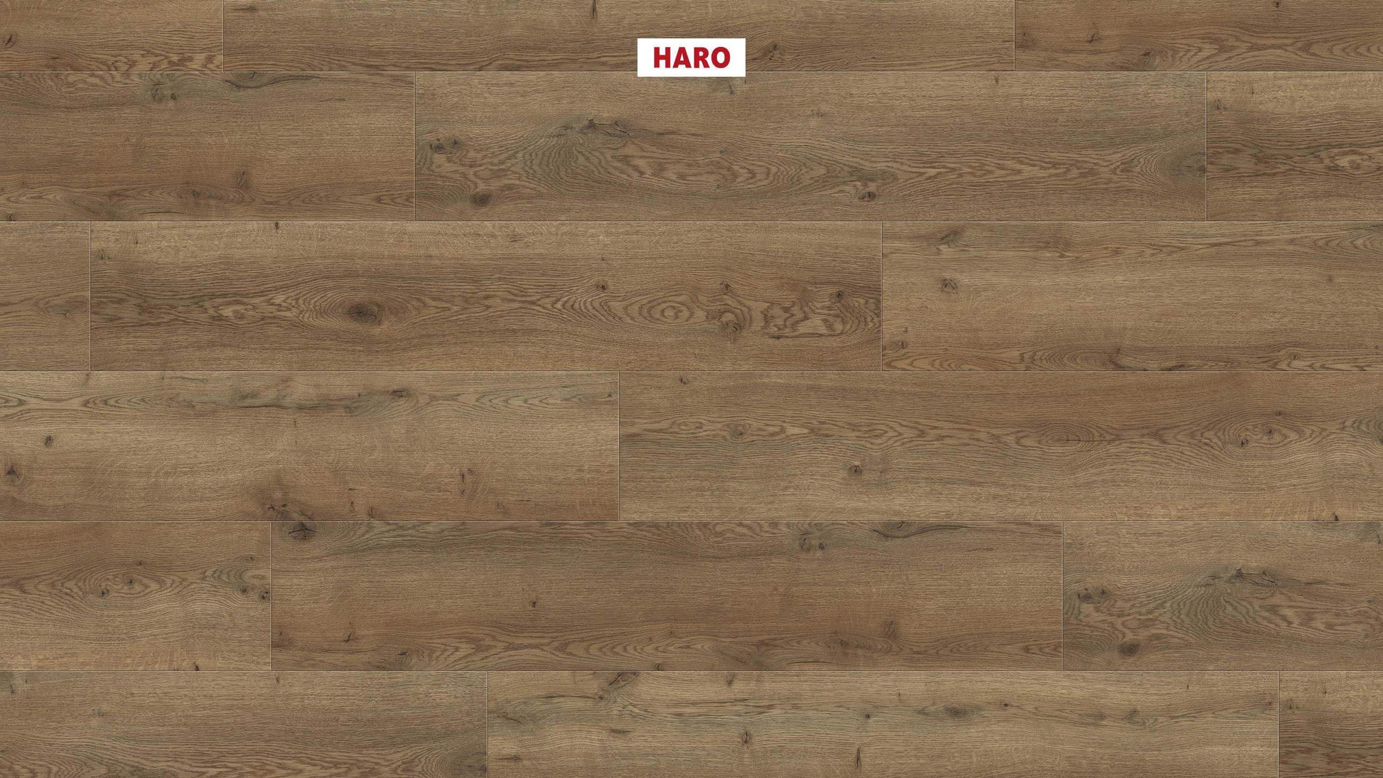 DISANO by HARO LifeAqua Landhausdiele 4V Eiche Oxford* strukturiert Top Connect