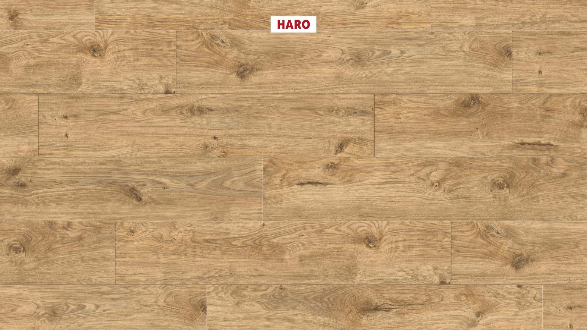 DISANO by HARO LifeAqua Landhausdiele 4V Eiche Phoenix* strukturiert Top Connect