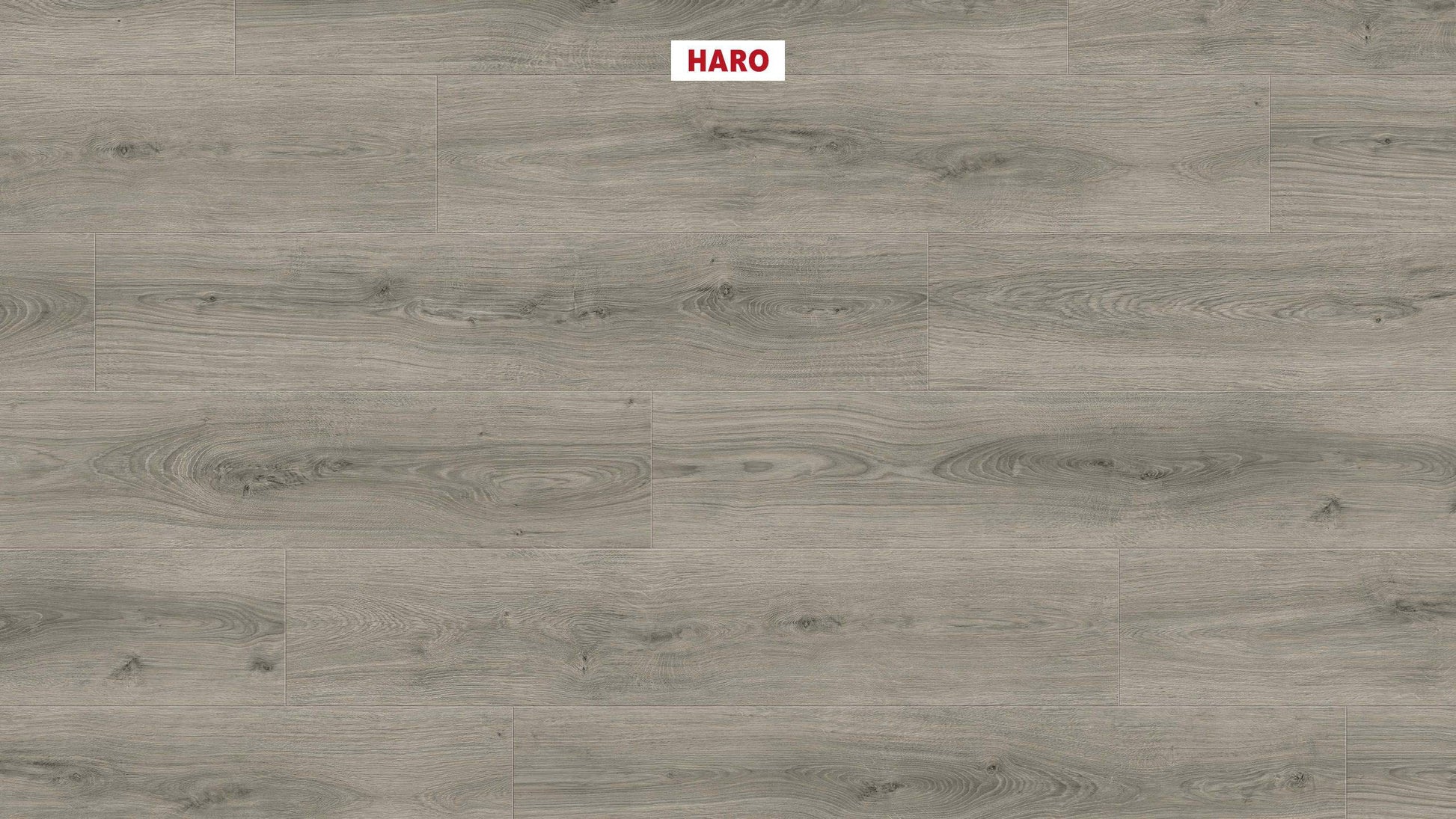 DISANO by HARO LifeAqua Landhausdiele 4V Eiche Sheffield grau* authentic Top Connect