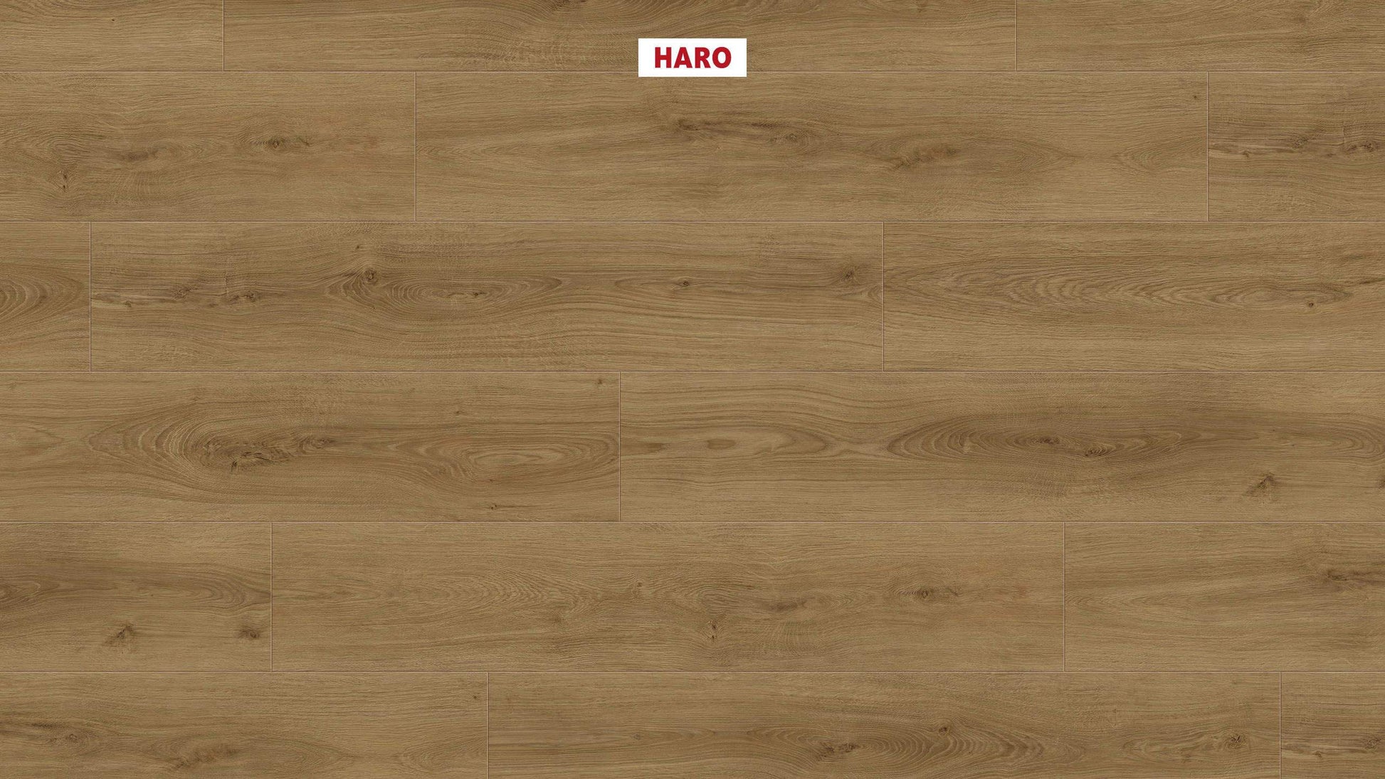 DISANO by HARO LifeAqua Landhausdiele 4V Eiche Sheffield natur* authentic Top Connect
