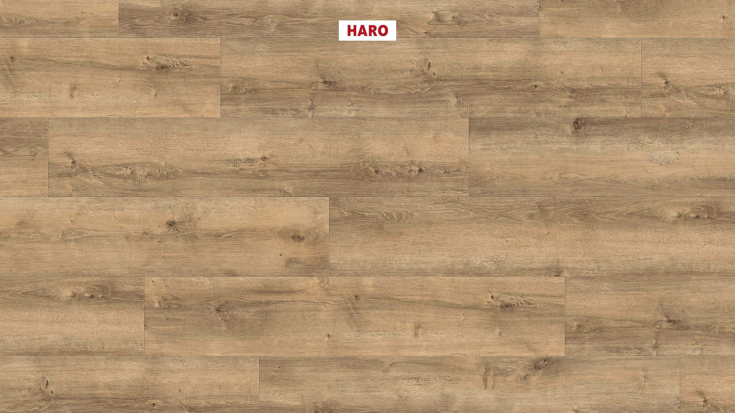 DISANO by HARO LifeAqua Landhausdiele 4V Eiche Yorkshire puro* strukturiert Top Connect