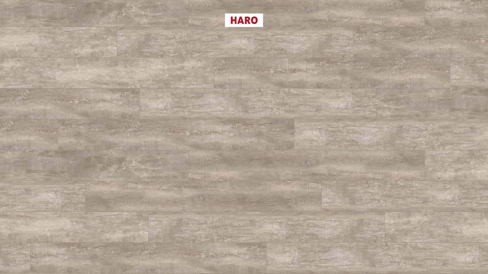 DISANO by HARO LifeAqua Landhausdiele XL 4V Antikeiche creme* rustikal strukturiert Top Connect