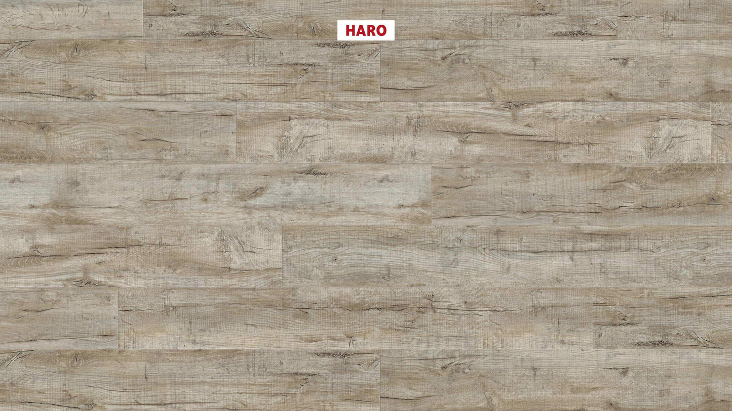 DISANO by HARO LifeAqua Landhausdiele XL 4V Eiche Cardiff weiß* strukturiert Top Connect