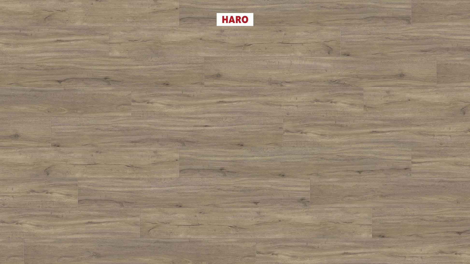 DISANO by HARO LifeAqua Landhausdiele XL 4V Eiche Columbia grau* strukturiert Top Connect