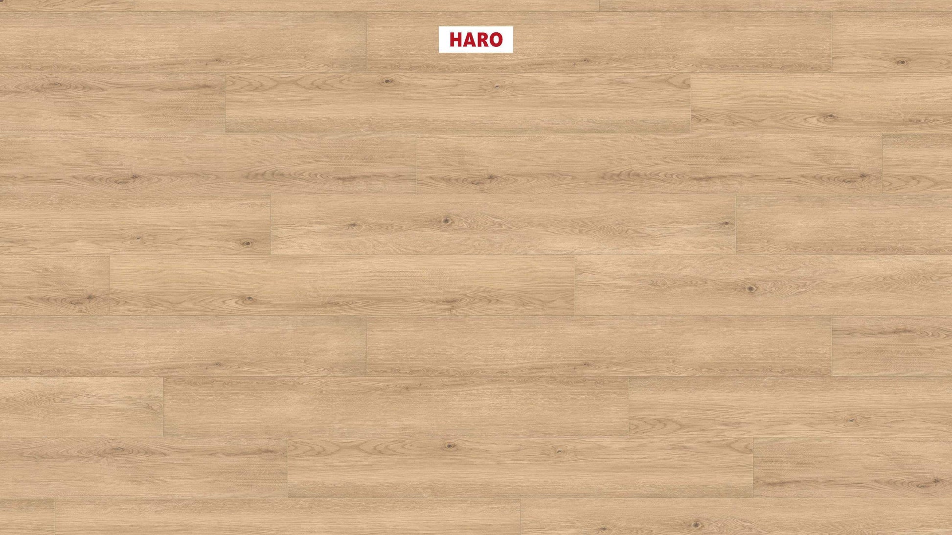 DISANO by HARO LifeAqua Landhausdiele XL 4V Eiche Lavida* strukturiert Top Connect