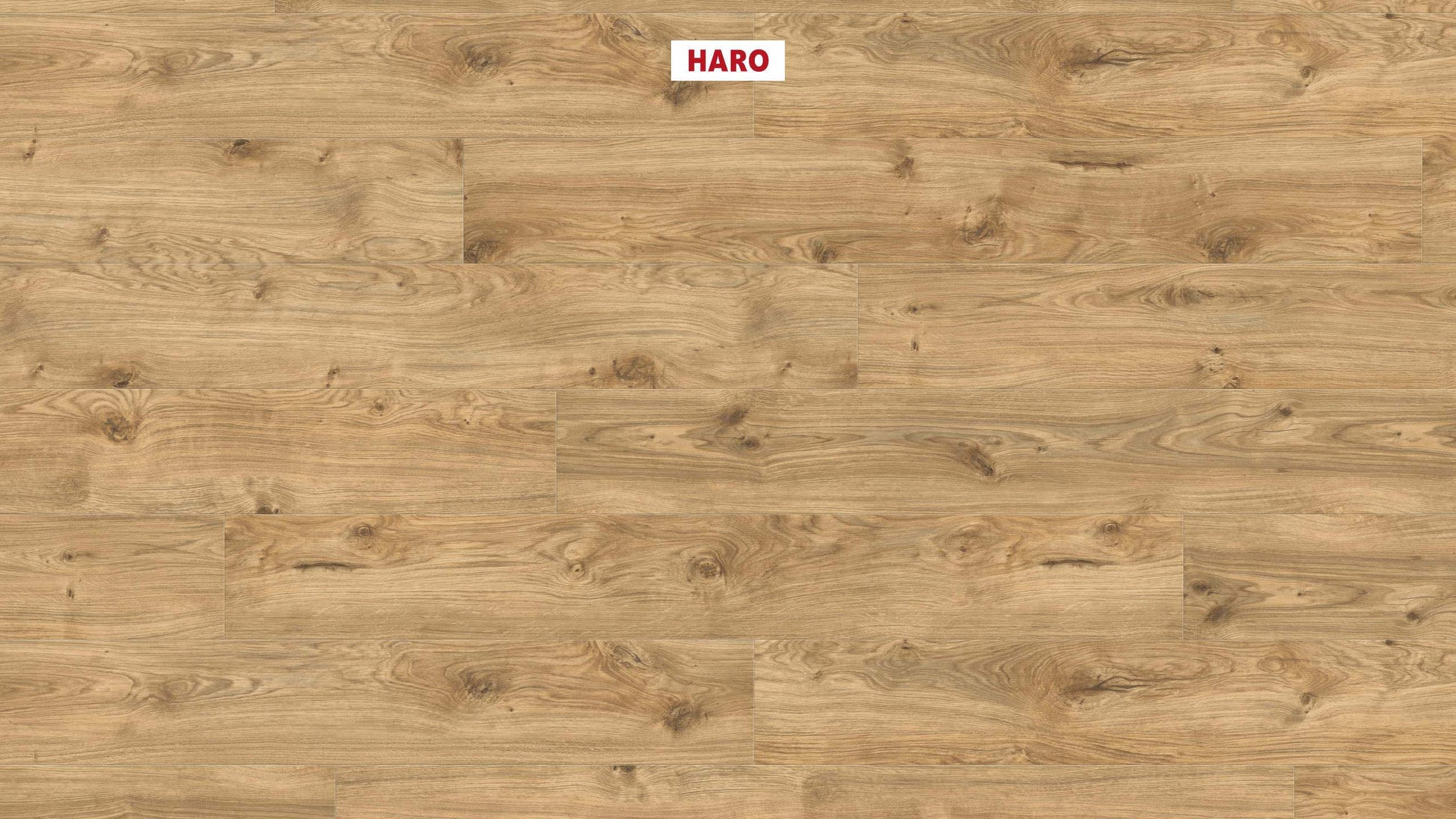 DISANO by HARO LifeAqua Landhausdiele XL 4V Eiche Phoenix* strukturiert Top Connect
