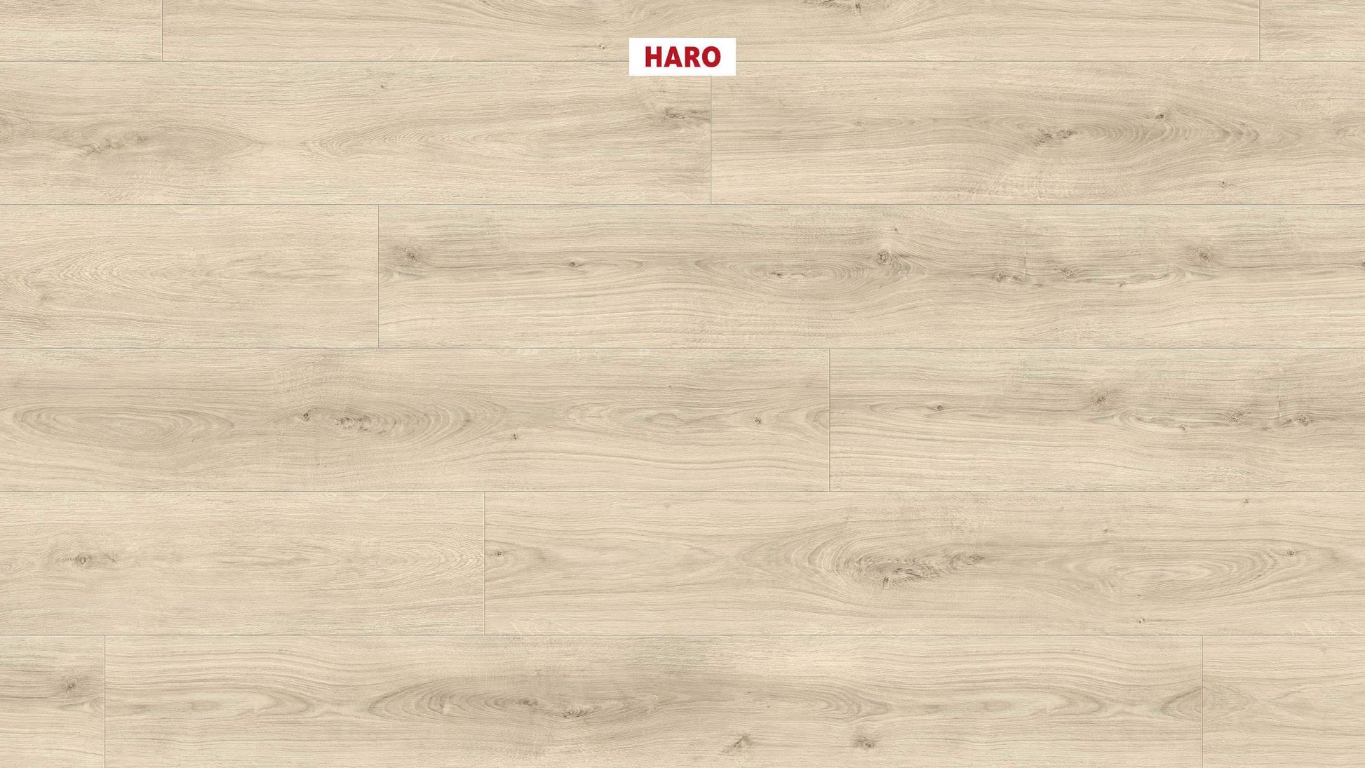 DISANO by HARO LifeAqua Landhausdiele XL 4V Eiche Sheffield cremeweiß* authentic Top Connect