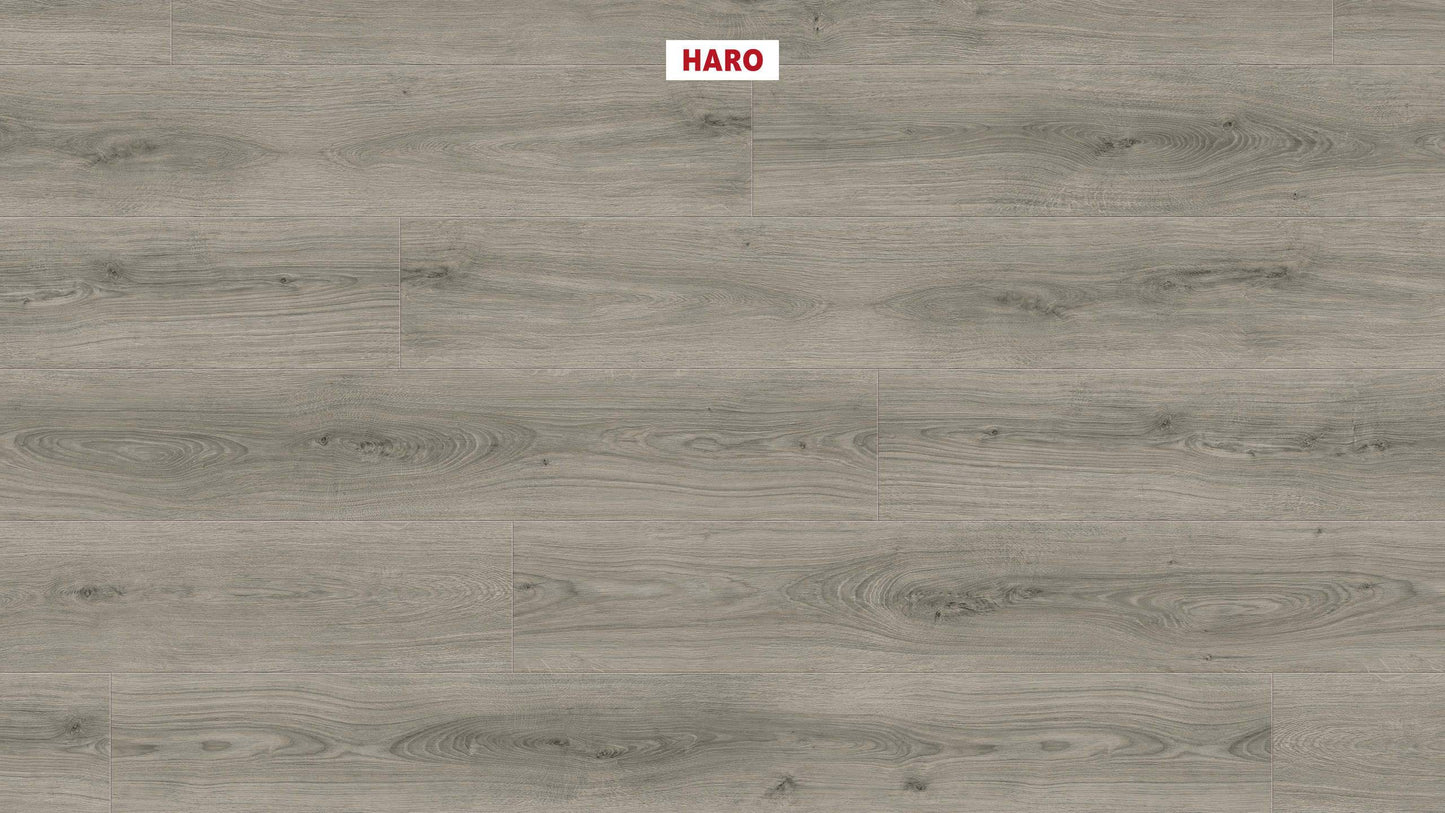 DISANO by HARO LifeAqua Landhausdiele XL 4V Eiche Sheffield grau* authentic Top Connect