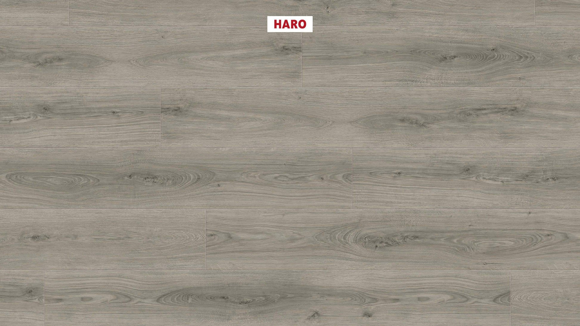 DISANO by HARO LifeAqua Landhausdiele XL 4V Eiche Sheffield grau* authentic Top Connect