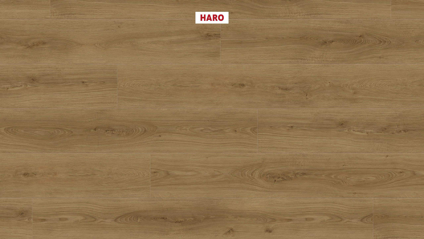 DISANO by HARO LifeAqua Landhausdiele XL 4V Eiche Sheffield natur* authentic Top Connect
