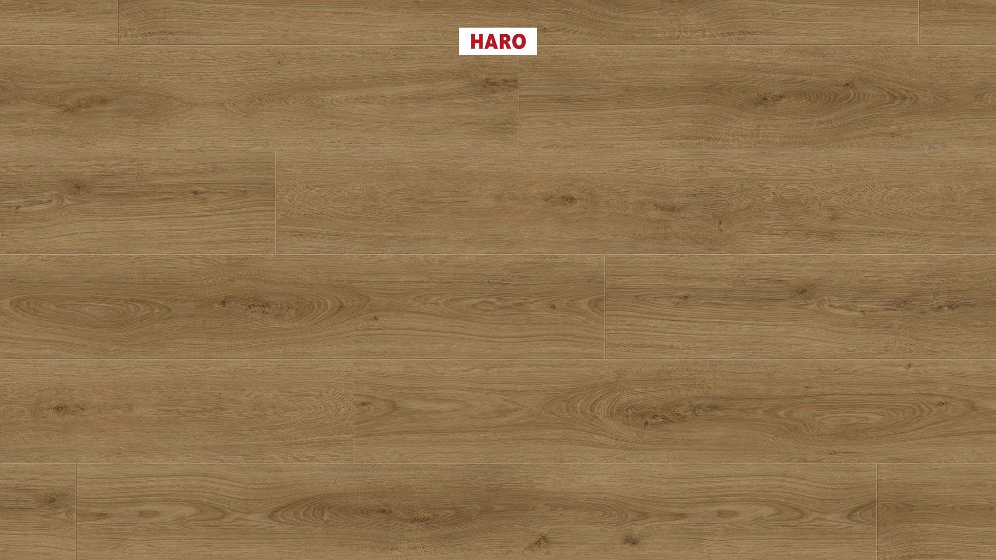 DISANO by HARO LifeAqua Landhausdiele XL 4V Eiche Sheffield natur* authentic Top Connect