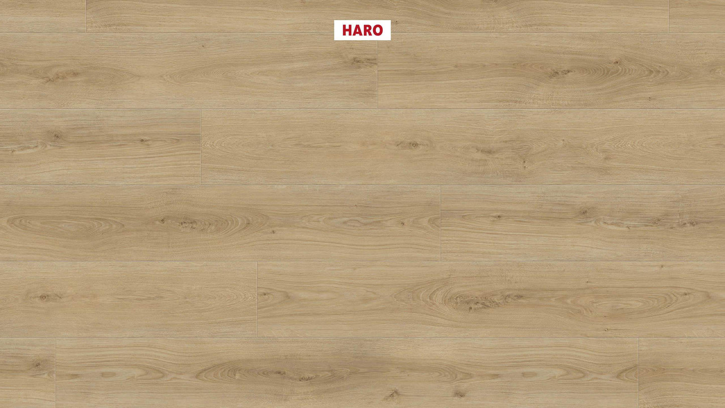 DISANO by HARO LifeAqua Landhausdiele XL 4V Eiche Sheffield puro* authentic Top Connect