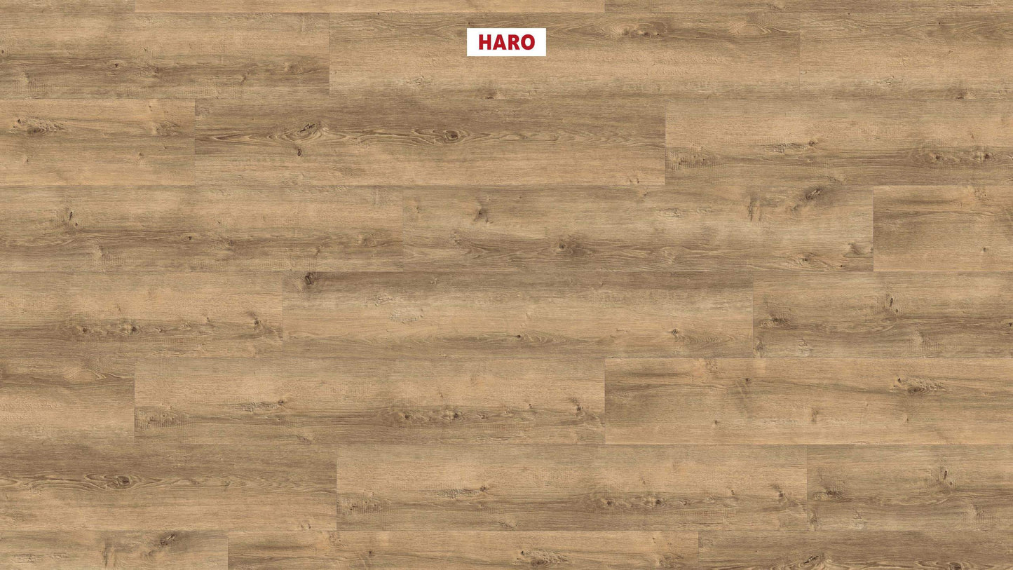 DISANO by HARO LifeAqua Landhausdiele XL 4V Eiche Yorkshire puro* strukturiert Top Connect