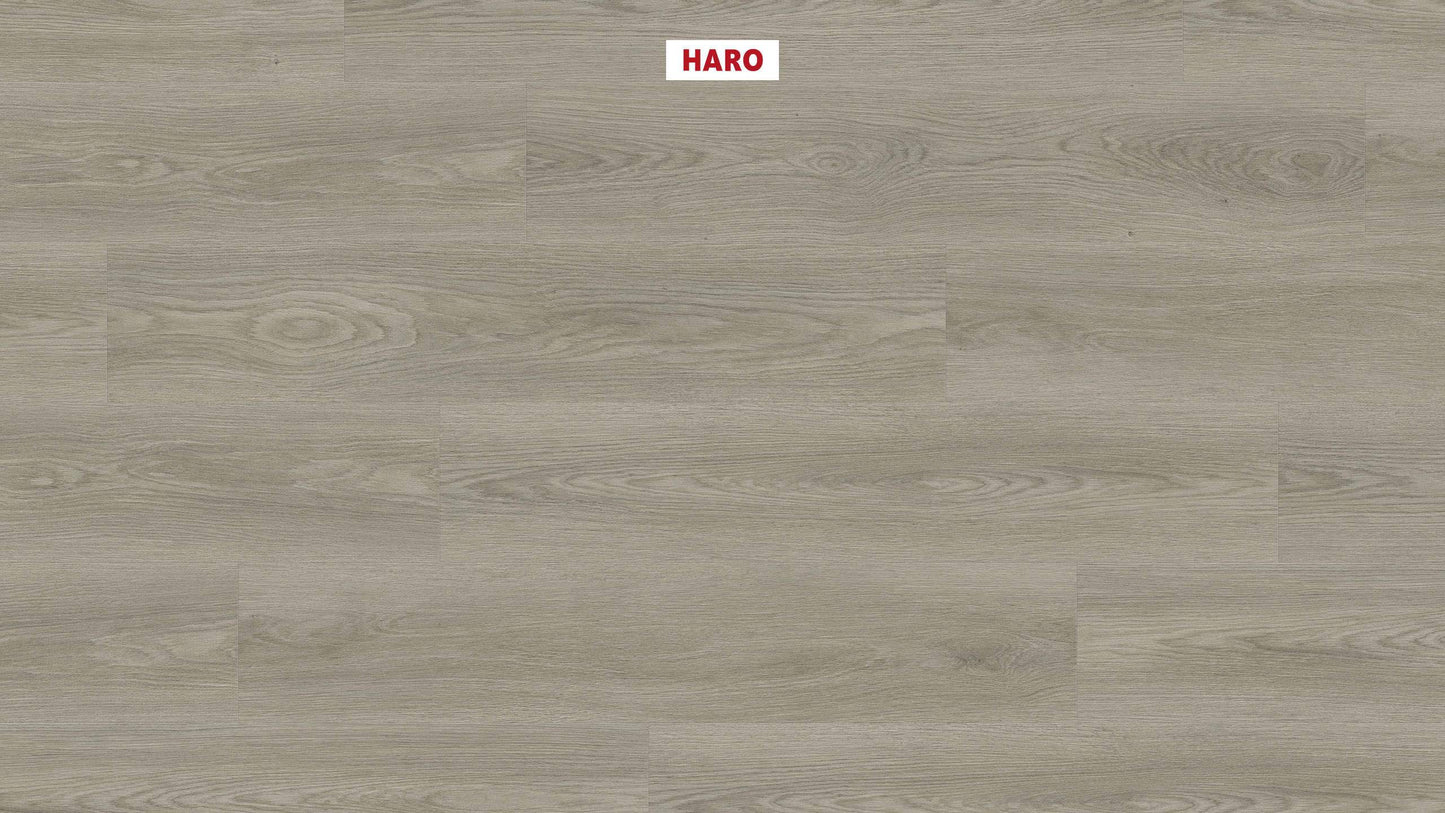 DISANO by HARO Project Landhausdiele 4VM Eiche Picardie grau* authentic