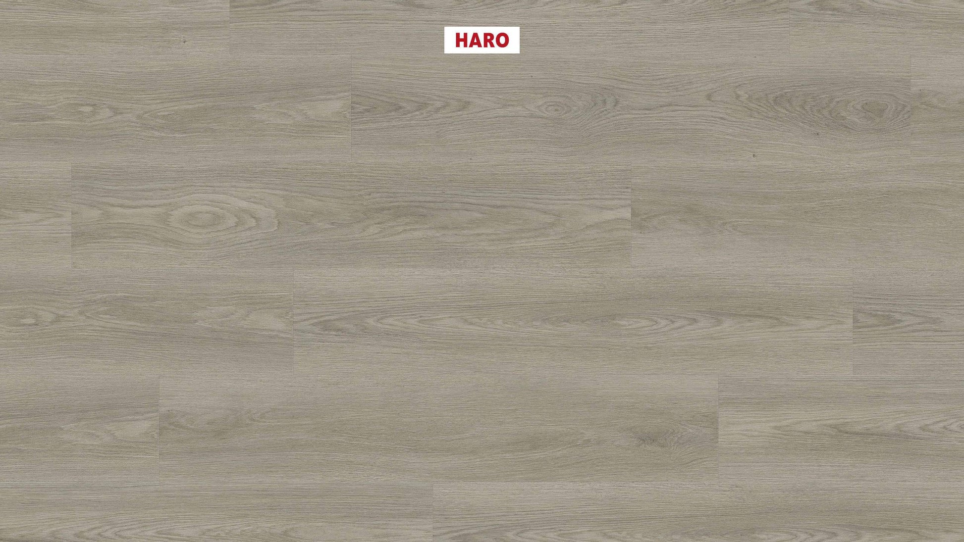 DISANO by HARO Project Landhausdiele 4VM Eiche Picardie grau* authentic