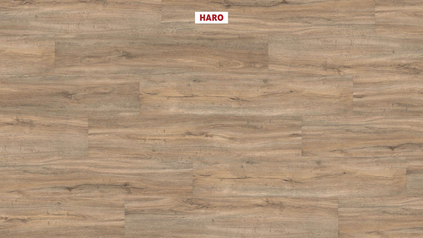 DISANO by HARO Project Landhausdiele 4VM Steineiche creme* strukturiert
