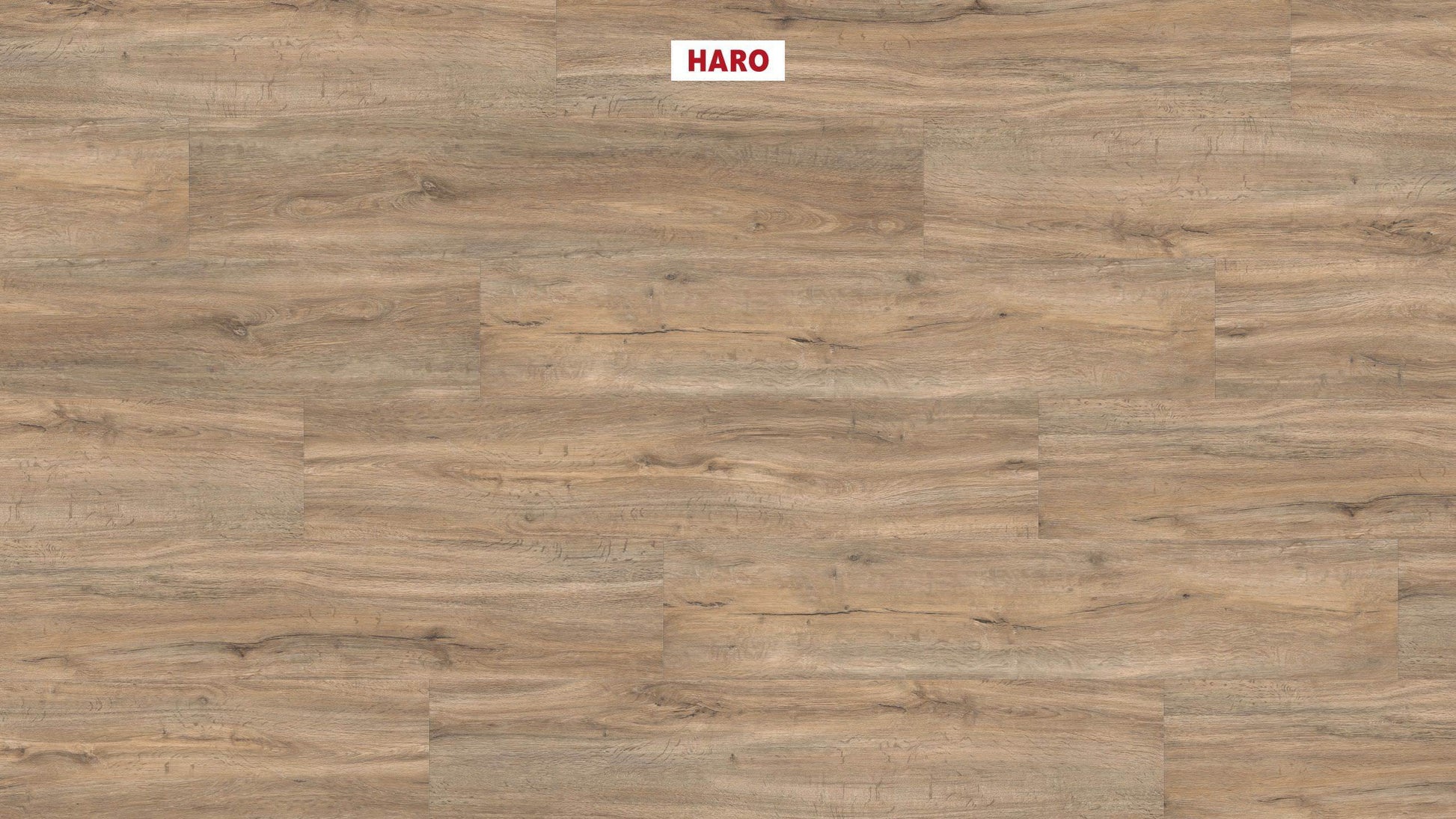 DISANO by HARO Project Landhausdiele 4VM Steineiche creme* strukturiert