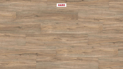 DISANO by HARO Project Landhausdiele 4VM Steineiche creme* strukturiert