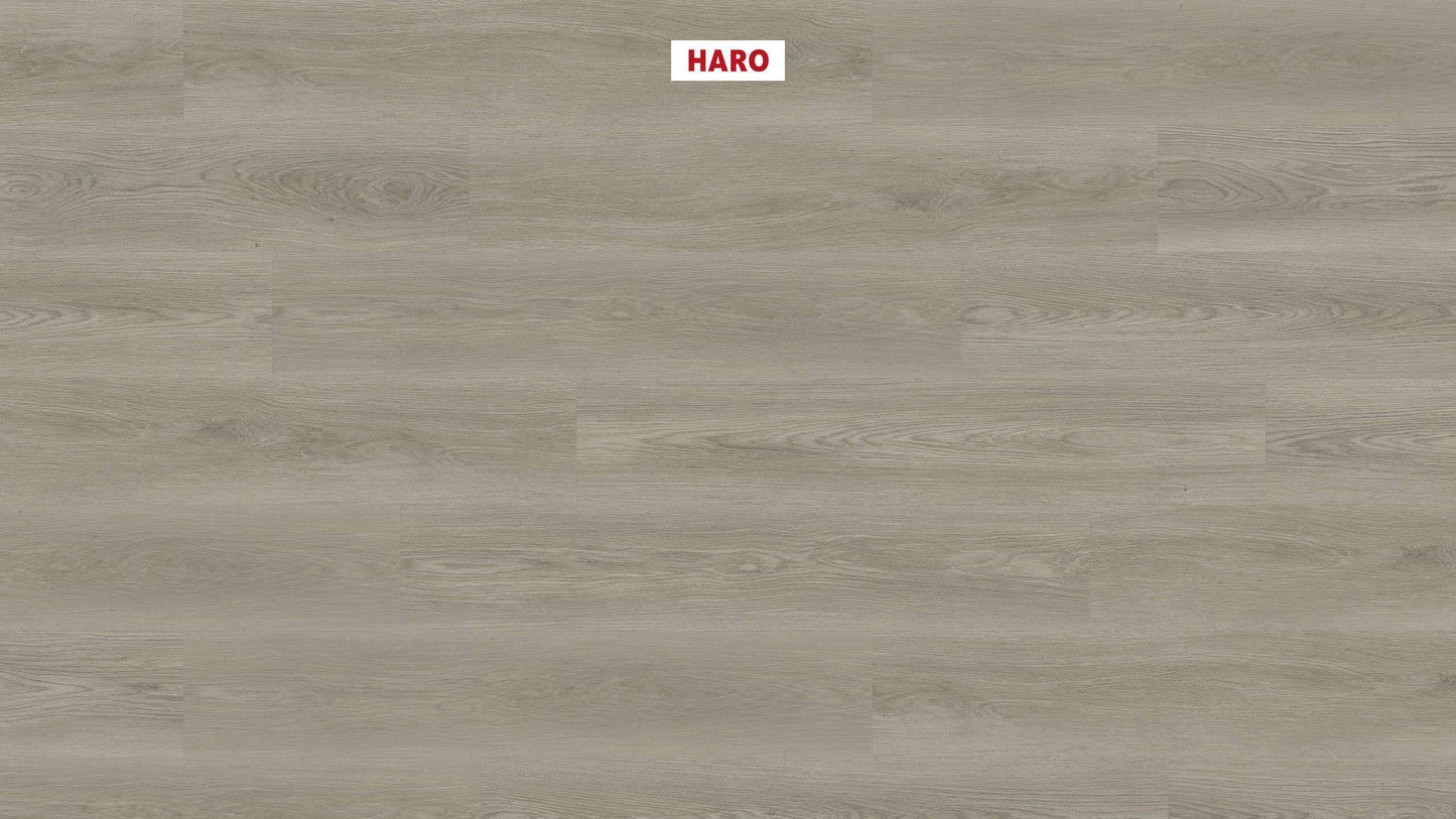 DISANO by HARO Saphir Landhausdiele 4VM Eiche Picardie grau* authentic Top Connect