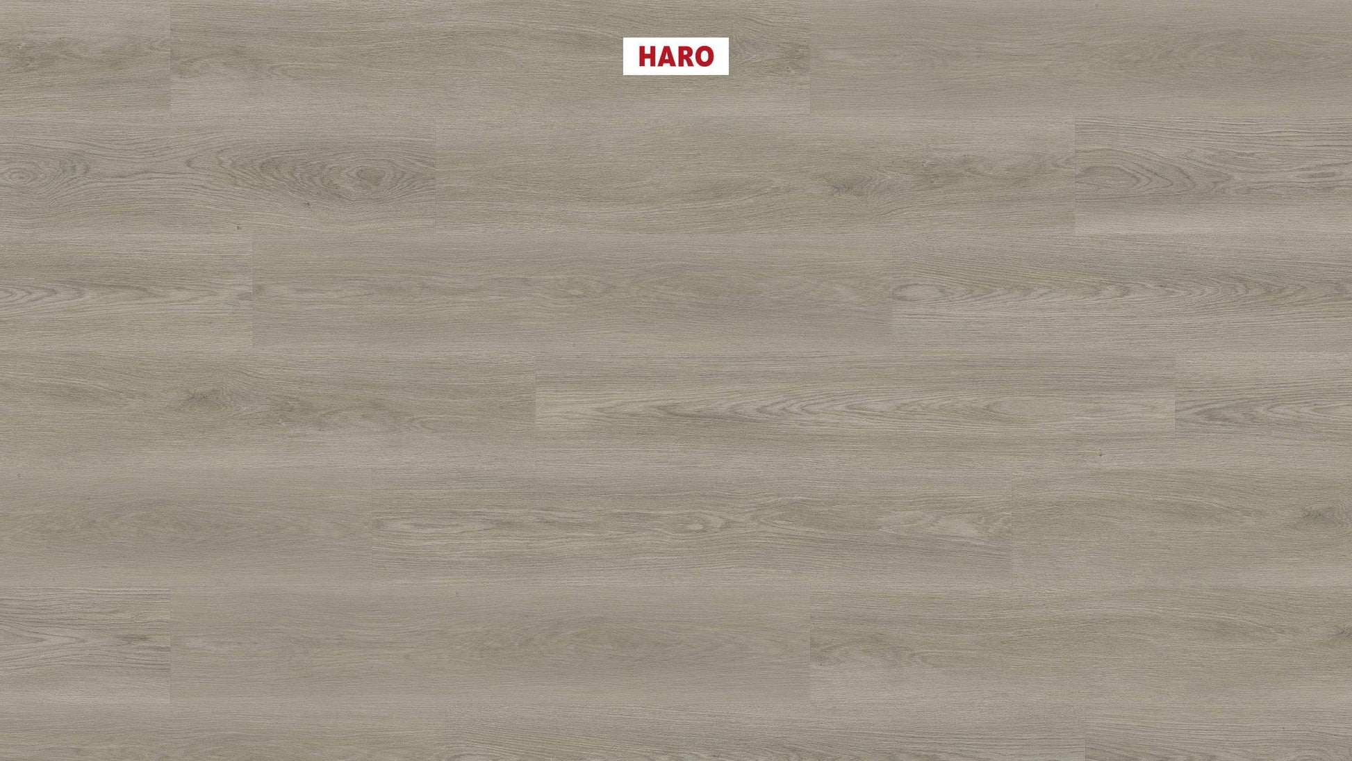 DISANO by HARO Saphir Landhausdiele 4VM Eiche Picardie grau* authentic Top Connect