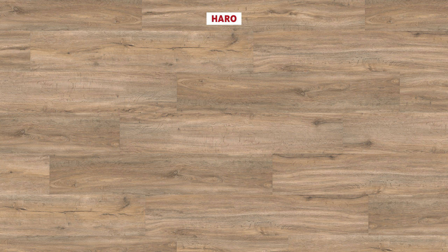 DISANO by HARO Saphir Landhausdiele 4VM Steineiche creme* strukturiert Top Connect