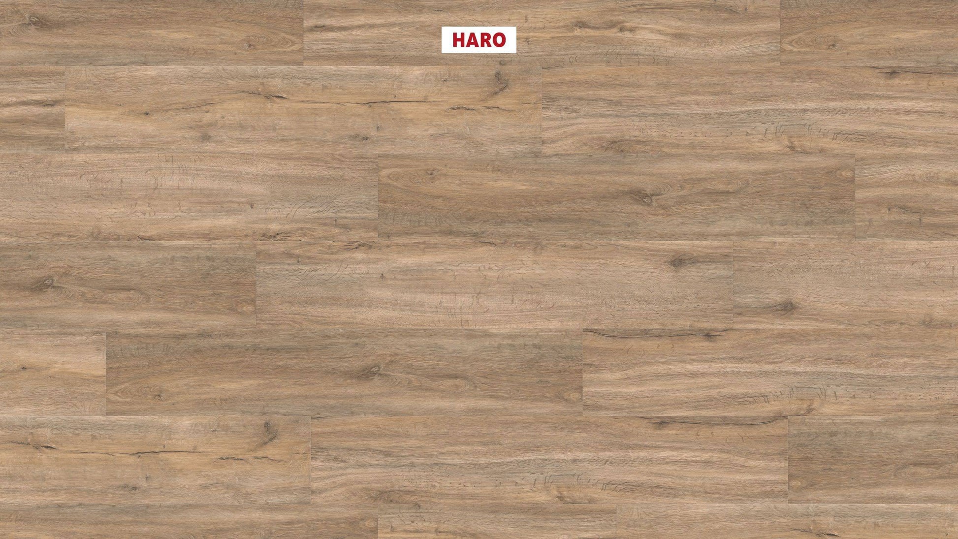 DISANO by HARO Saphir Landhausdiele 4VM Steineiche creme* strukturiert Top Connect