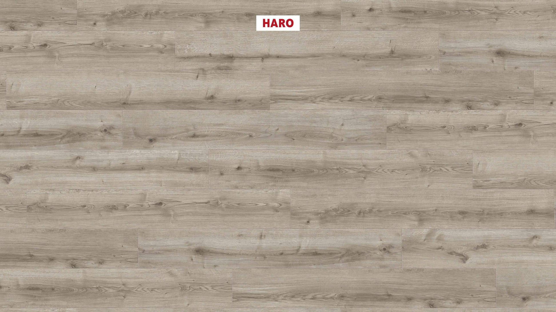 DISANO by HARO WaveAqua Landhausdiele 4V Eiche Ontario grau* authentic Top Connect