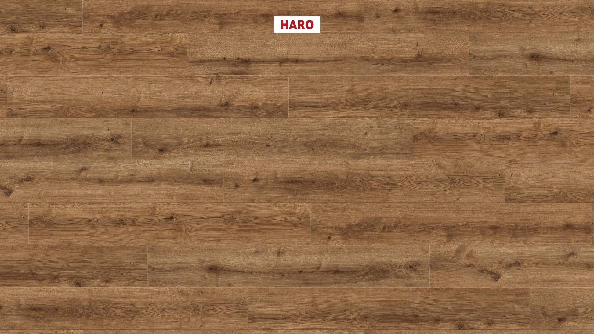 DISANO by HARO WaveAqua Landhausdiele 4V Eiche Ontario natur* authentic Top Connect