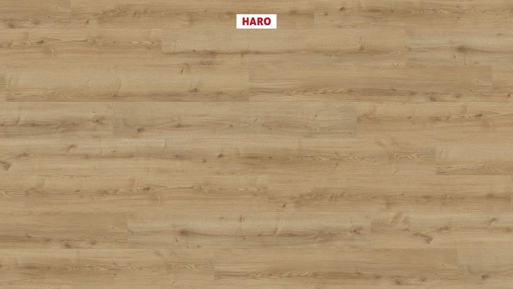DISANO by HARO WaveAqua Landhausdiele 4V Eiche Ontario puro* authentic Top Connect