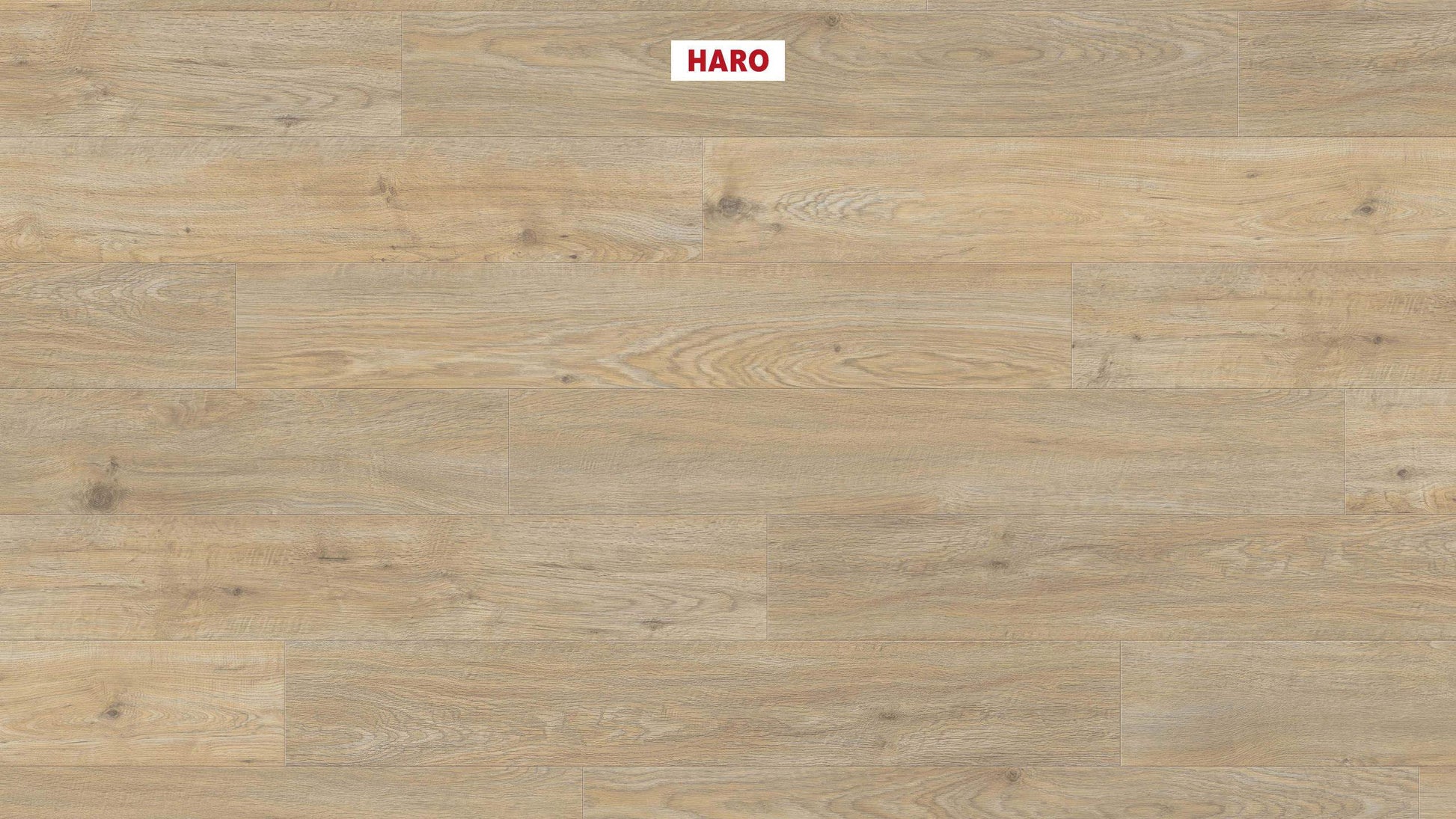 DISANO by HARO WaveAqua Landhausdiele 4V Eiche Quebec alabaster* authentic Top Connect