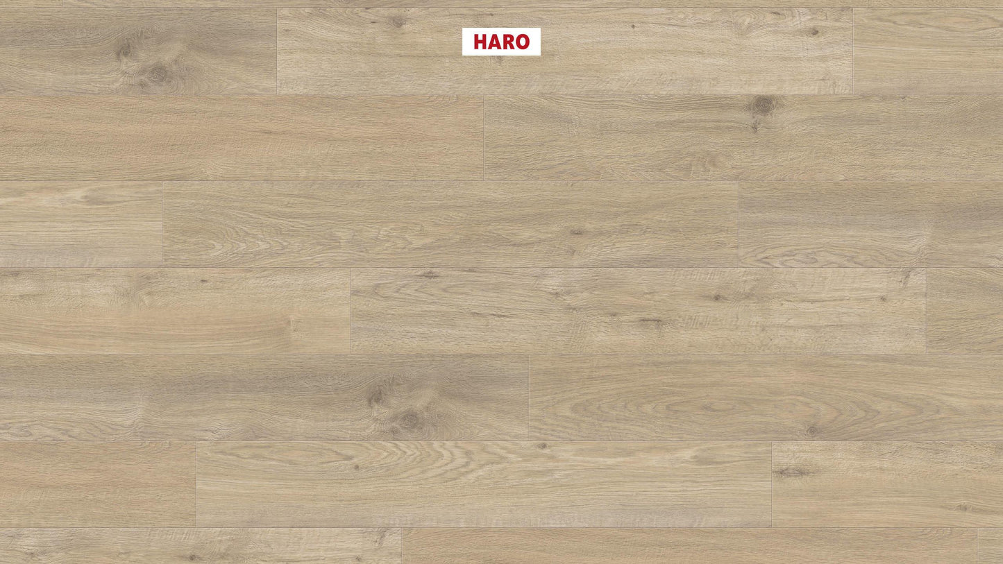 DISANO by HARO WaveAqua Landhausdiele 4V Eiche Whistler kieselgrau* authentic Top Connect