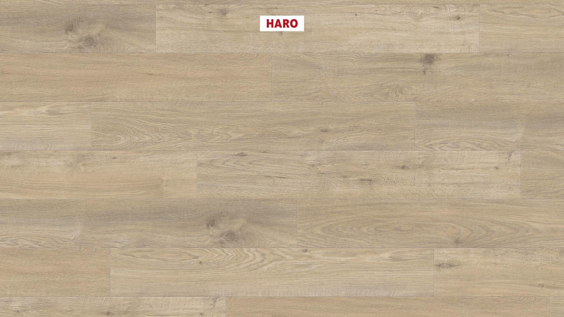 DISANO by HARO WaveAqua Landhausdiele 4V Eiche Whistler kieselgrau* authentic Top Connect